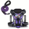 031d4a6b-bb8e-438b-80b3-30c0d94b3ea4.jpg Arnês tático acolchoado roxo para cão