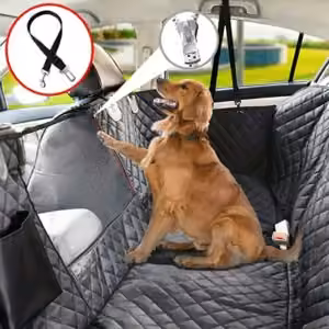 Cão no banco traseiro do carro com capa protetora e trela de segurança