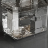 Fonte de água automática para gato, cor transparente