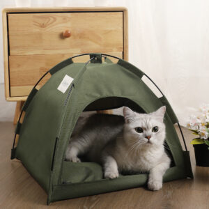 Gato dentro de tenda-casota verde para animais