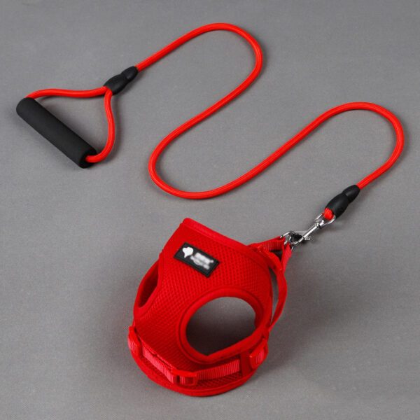 Peitoral em rede vermelho com trela em corda