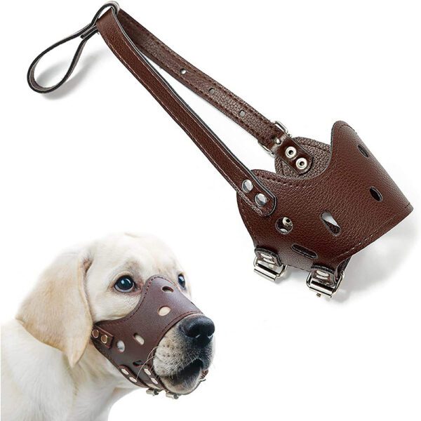 Cachorro com açaime de couro castanho e vista do produto