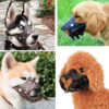 Cães de várias raças a usar o açaime de couro