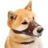 Cão com açaime de couro castanho ajustável