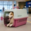 Transportadora rígida para gato e cão Bafinho