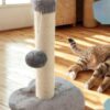 H6e236d12dfef4c299da1724f45eea58e2.jpg Arranhador de sisal para gato Bafinho, suspenso