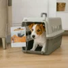 Transportadora rígida para gato e cão Bafinho