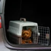 Transportadora rígida para gato e cão Bafinho