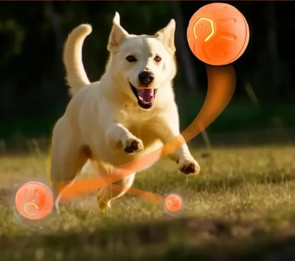 S23366006d12d4e08a80183408587038d7.webp Cão a correr na relva atrás da bola interativa laranja