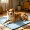 Cão relaxado num tapete refrescante azul, dentro de casa