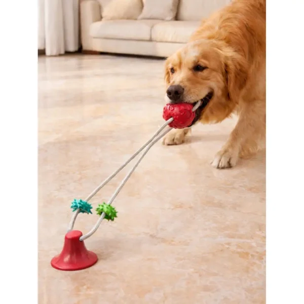 Bola de tração com ventosa para cão Bafinho