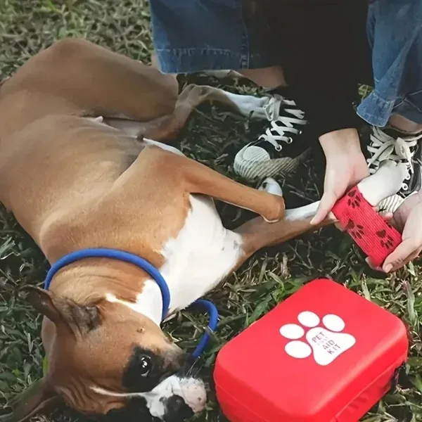 S332cf25441124364949406fa3d9b5daa2.webp Kit portátil de primeiros socorros para cão e gato
