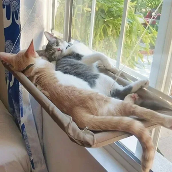 Gato deitado na cama de janela com ventosas Bafinho