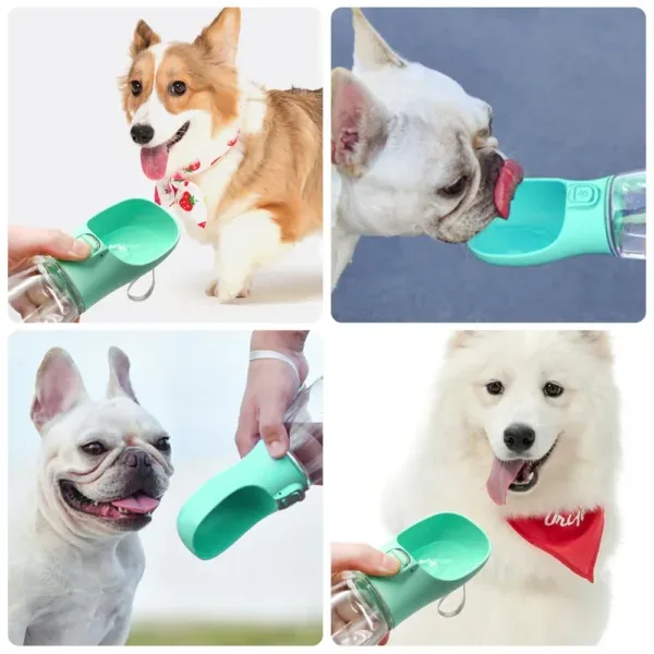 Garrafa portátil com bebedouro para cão e gato