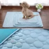 S957381010bc1465c8b0233ded2e11ffcc.webp Cão sobre tapete refrescante azul, três tamanhos disponíveis