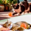 Sa9b93ed4234a4f3a84d8dae5eaccb00e5.webp Dois gatos a brincar com a bola interativa laranja