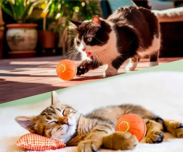 Sa9b93ed4234a4f3a84d8dae5eaccb00e5.webp Dois gatos a brincar com a bola interativa laranja