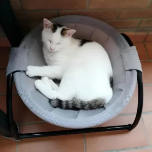 Sadf149a60fff41ed84e2f586e8c4cb4eB.webp Gato deitado na cama elevada suspensa Bafinho