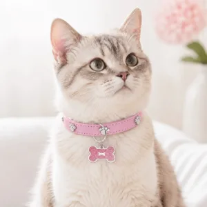 Gato com coleira rosa e pendente de osso Bafinho