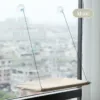 Cama de janela para gato com ventosas, cor cáqui