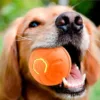Sd782e95471b24a8ba4514ccd524d515ay.webp Cão a segurar na boca a bola interativa laranja