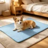 Corgi deitado num tapete refrescante azul, dentro de casa