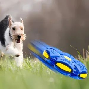 Bola Disco Voador Transformável — Cão
