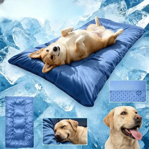 Sf943b101964049c3b86f6401217f7859O.webp Cão deitado de barriga para cima numa cama refrescante azul