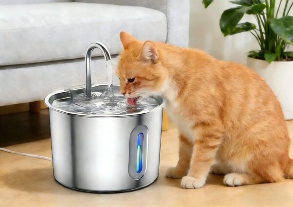 crop_1577 Gato a beber na fonte de água automática Bafinho