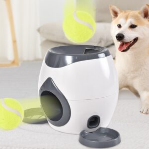 Cão a brincar com a máquina interativa de bola Bafinho