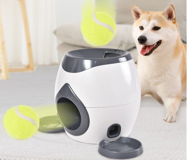 608793306478.jpg Cão a brincar com a máquina interativa de bola Bafinho