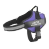 Arnês tático roxo com placa personalizada para cão