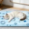 Gato deitado num tapete refrescante azul com flocos de neve