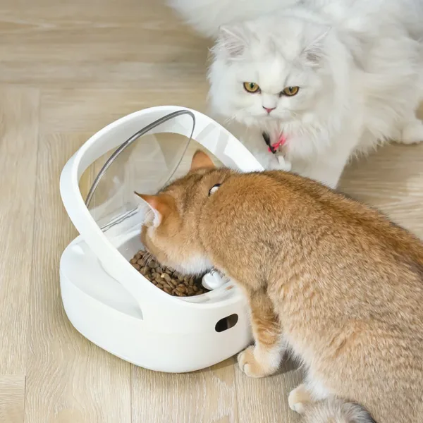Dois gatos a utilizar o comedouro Petoneer NutriCare com acesso individual