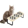 Comedouro Elevado Triplo e Tapete para Gato