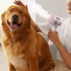 Sa9cb82ba22e44e84aa39e4bfe729cf63L.webp Escova Elétrica com Vaporizador para Cão e Gato