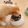 Sce035b356e374cd3852992ab99d8ddb1X.webp Comedouro Inclinado em Aço Inoxidável para Cão e Gato