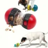 Cão a brincar com o dispensador de petiscos vermelho