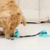 Cão a comer os petiscos libertados pela bola com ventosa