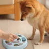 Comedouro Lento Interativo para Cão