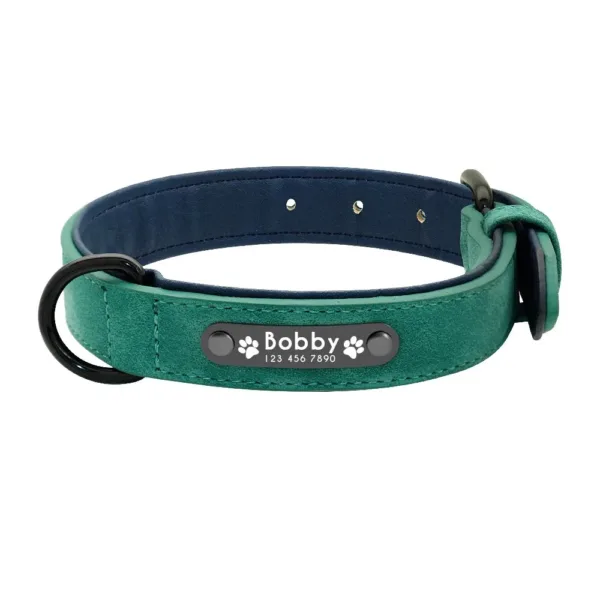Coleira personalizada verde com placa para nome