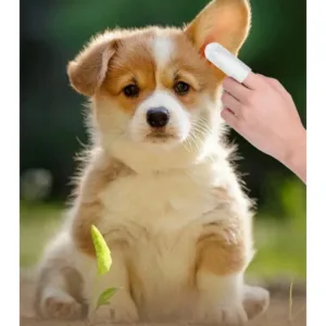 Toalhita de dedo para limpeza externa da orelha de um cão