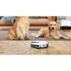 ILIFE A12 Pro a aspirar pelo numa sala com cães